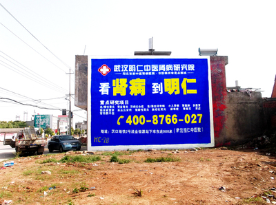 明仁腎病醫院湖北墻體廣告