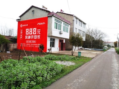 東風(fēng)風(fēng)神武漢手繪墻體廣告